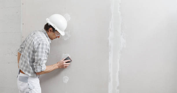Best Attic Mold Removal  in Waverly, NE