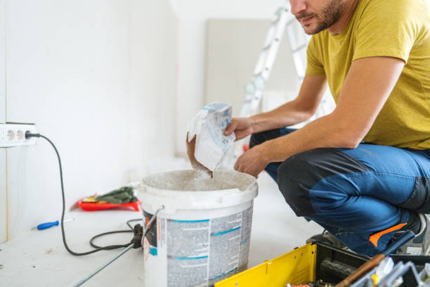 Best Mold Odor Removal Services  in Waverly, NE