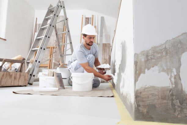 Best Mold Remediation for Healthcare Facilities  in Waverly, NE