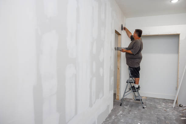  Waverly, NE Mold Removal Pros