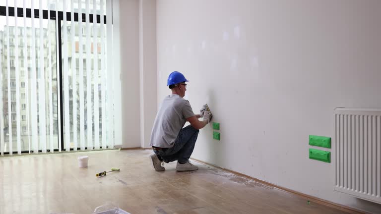Best Basement Mold Removal  in Waverly, NE