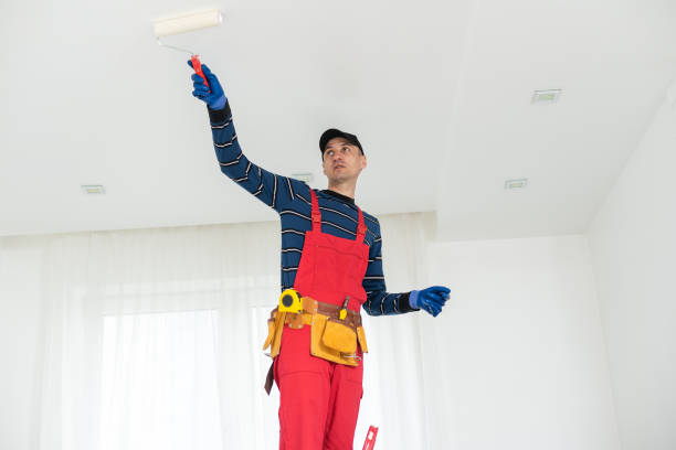 Best Crawl Space Mold Remediation  in Waverly, NE