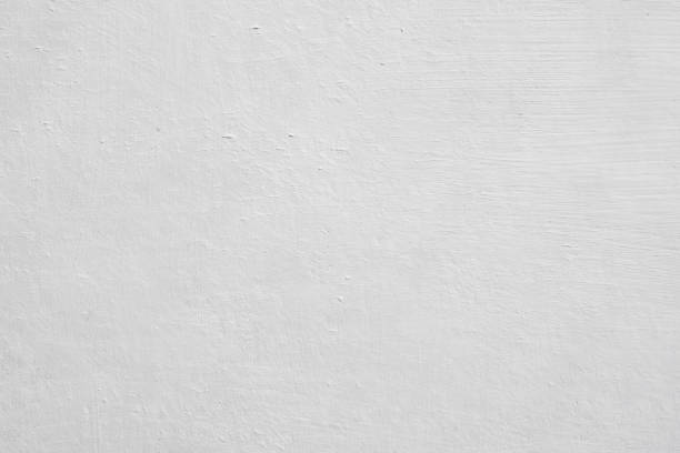 Mold Remediation for Rental Properties in Waverly, NE