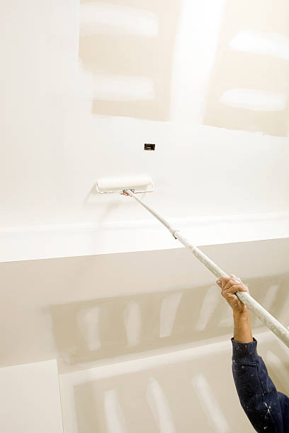 Environmental Consulting for Mold Prevention in Waverly, NE