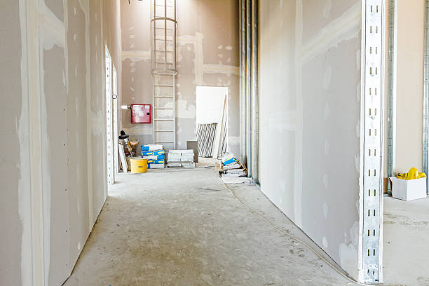 Best Post-Remediation Verification Testing  in Waverly, NE