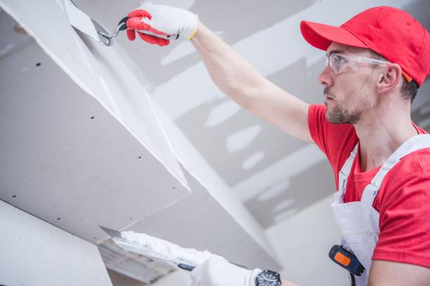 Best Biohazard Mold Removal  in Waverly, NE