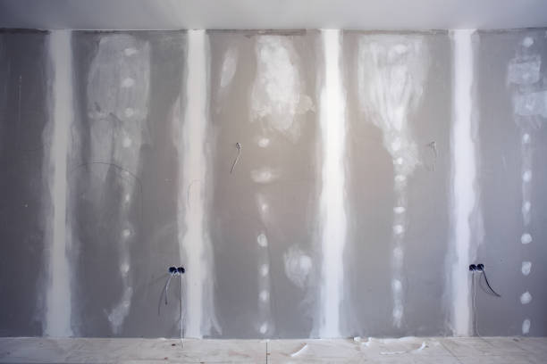 Reliable Waverly, NE Mold Removal Solutions
